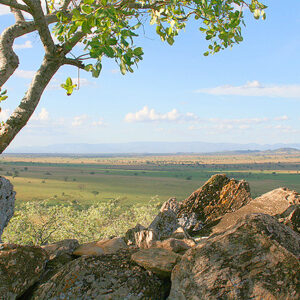 Kidepo-Valley Uganda Safari