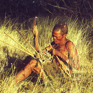 Namibia Safari Buschmann