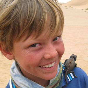 Namibia Safari Gekko