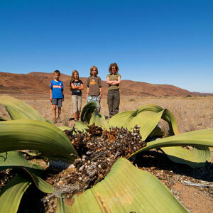 Namibia Safari Kinder