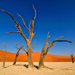Namibia Safari Sossusvlei