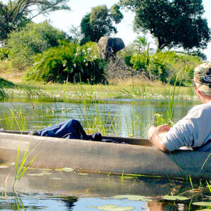 Botswana Safari Mokoro Tour